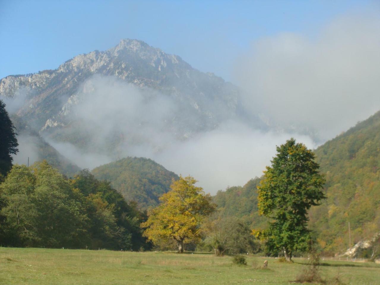 Taramour Cottages. Mojkovac Eksteriør bilde