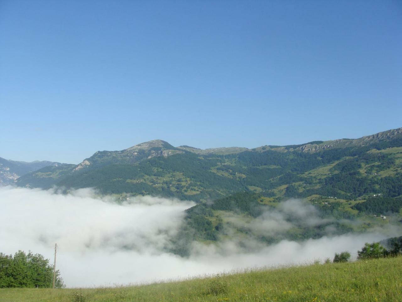 Taramour Cottages. Mojkovac Eksteriør bilde