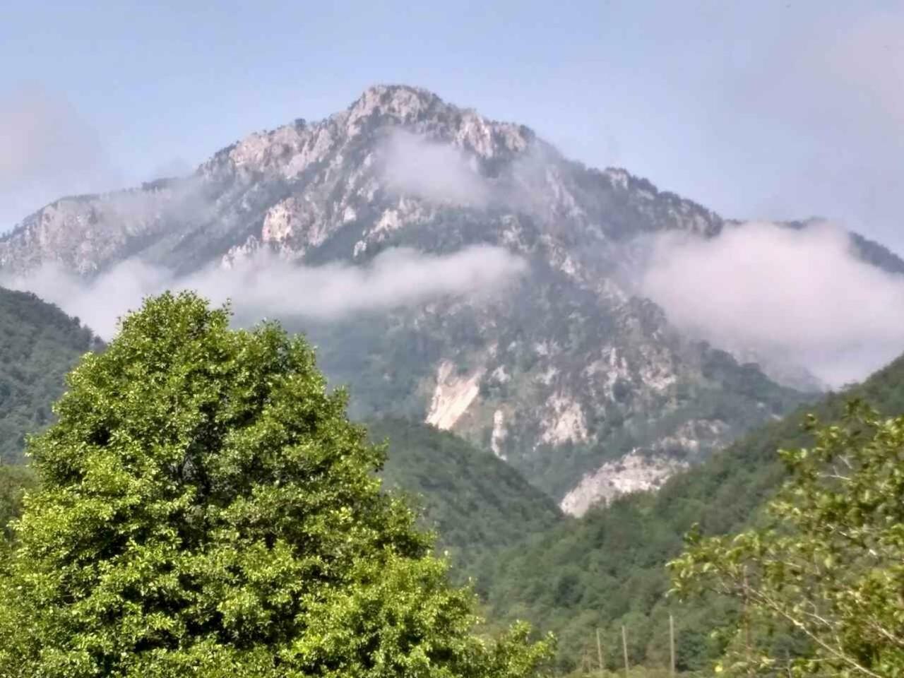 Taramour Cottages. Mojkovac Eksteriør bilde