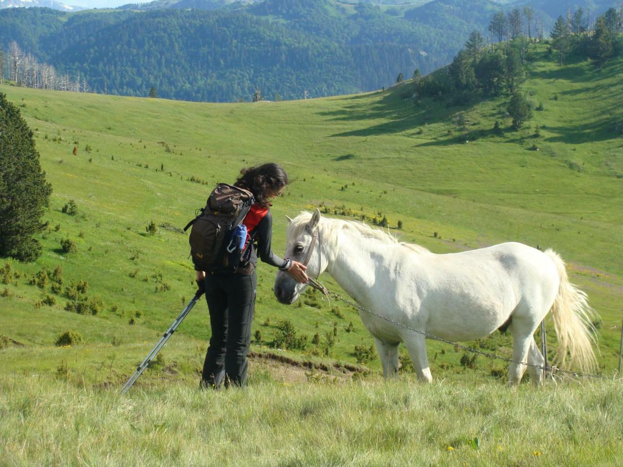 Taramour Cottages. Mojkovac Eksteriør bilde