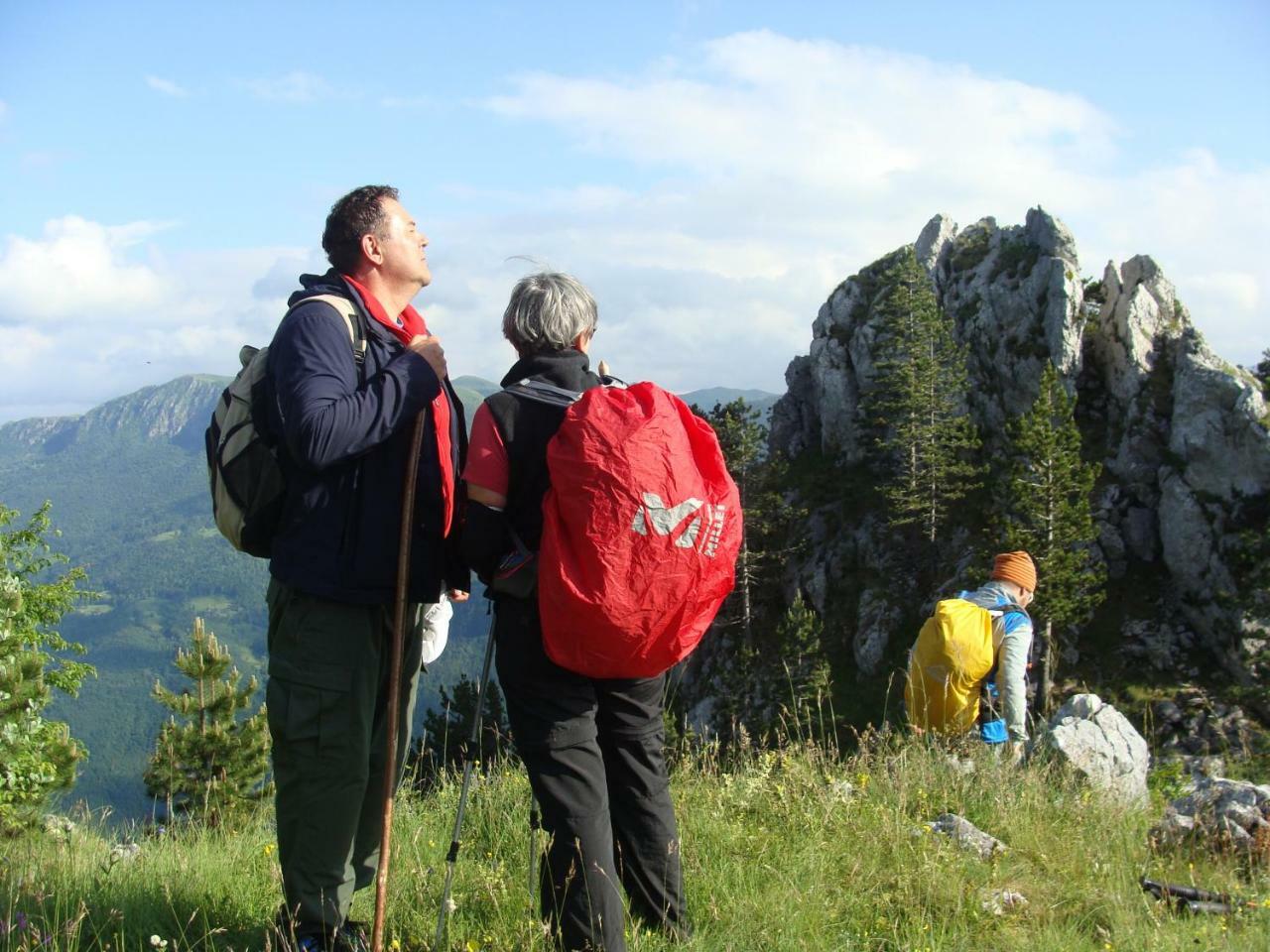 Taramour Cottages. Mojkovac Eksteriør bilde