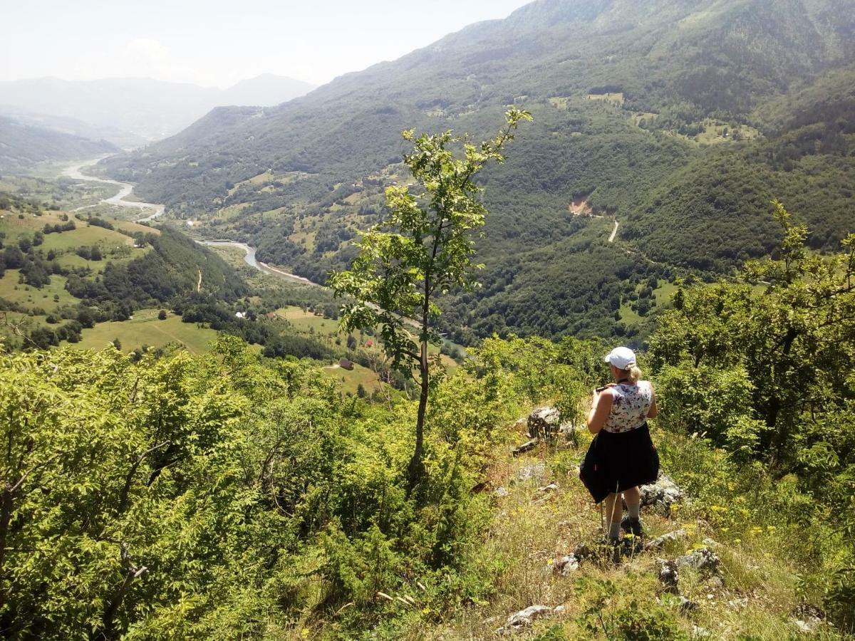 Taramour Cottages. Mojkovac Eksteriør bilde